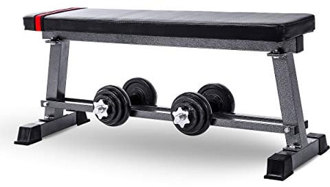 Lions Flat Weights Bench with Dumbbell Rack - Heavy Duty Training Multi Gym Weight Lifting Bench, Exercise Home Gym Fitness Equipment for Full Body Workout, Black
