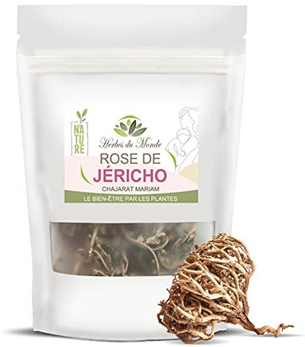Herbes du Monde - Rose von Jericho 50g Minimum: Chajarat Mariam für Fruchtbarkeit, Anastatica Hierochuntica, Menstruationsbeschwerden lindern, Erleichterte Geburt, Diuretikum, Natürlich - 1 Beutel