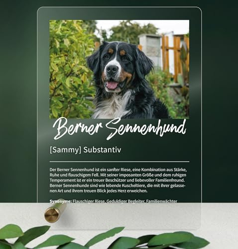 Berner Sennenhund Personalisiertes Acryl Geschenk - Definition, Deko für Halter