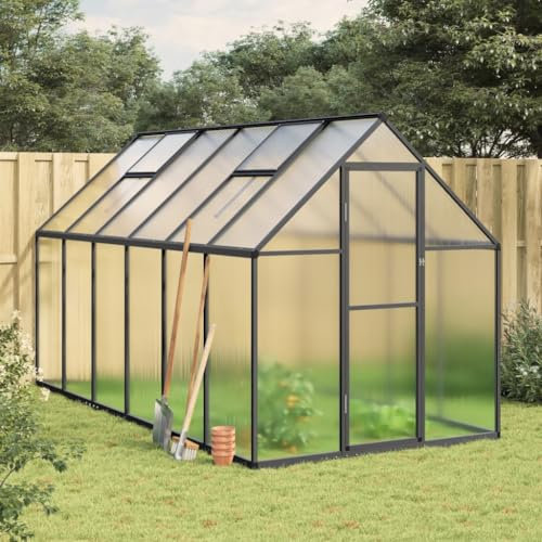 Sufrk Cadre de serre avec base anthracite 334 x 169 x 195 cm en aluminium, serre de jardin et potager en polycarbonate avec toit réglable et porte, cadre en aluminium
