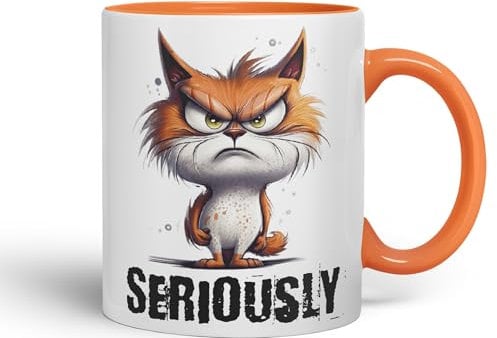 Vixar Cat Seriously kittten Joke sarkasm Sarcastic Ceramic Coloured Mug Cup for Tea Coffee Hot Brew 330ml 11Oz Gift (Orange)