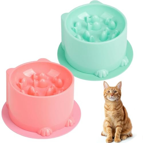 4-Teiliges Set Anti Schling Napf Katze Erhöht, Anti Schling Napf Katze Mit Anti Rutsch Matte, Slow Feeder Katzen Napf, Anti-Schluck Schlingnapf Katze Für Katzen Und Kleine Hunde