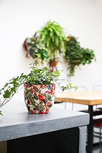 Ivyline Indoor Plant Pot Monza Tropical Parrot H17Cm D17Cm, Red/Cream