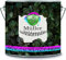 Müller Qualitätsfarbenmanufaktur Vernice protettiva per legno laccata per legno, resistente alle intemperie, protezione a lungo termine dalle intemperie, colori esclusivi (5 l, viola)