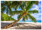 wandmotiv24 Fototapete Strand Meer Palmen, M 250 x 175 cm - 5 Teile, Wanddeko, Wandbild, Wandtapete, Kokosnuss Sand Palme Himmel M6857