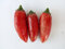 SEMI PEPERONCINO JALAPENO