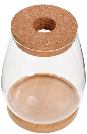 WEKADRIN Hydroponisches Pflanzen Terrarium Satz Kleiner Glas Pflanzgefäß mit Lochdeckel und Bambusständer Mikrolandschaft für Zimmer Wohnzimmer Büro Dekoration