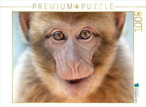 CALVENDO Puzzle Magot/BERBERAFFE | 1000 Teile Lege-Größe 64 x 48 cm Foto-Puzzle für glückliche Stunden