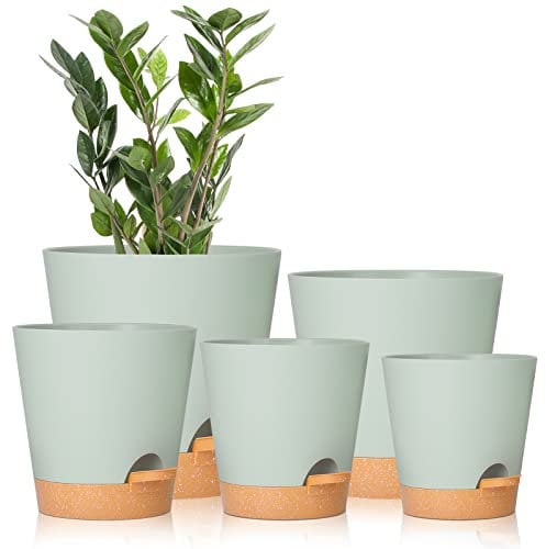 GARDIFE - Vaso per piante da 17.8/16.5/15.2/13.9/12.7cm con foro di drenaggio, vasi da fiori in plastica, per piante grasse, piante grasse, piante a serpente, viola africano, verde