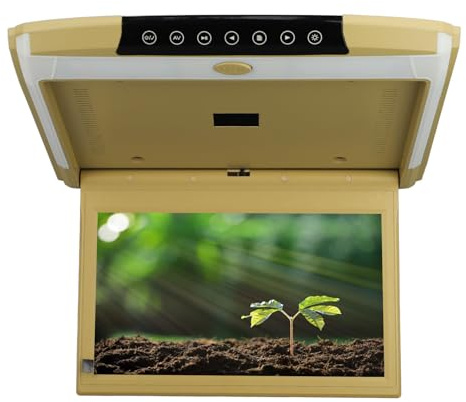 FTVOGUE Monitor de Techo de Coche Ultrafino de 11,6 Pulgadas con Interfaz de Pantalla USB SD HD, Entrada y Salida de Vídeo Dual, Reproducción de Vídeo Multiformato