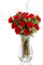 Sendabunch Luxury Red Carnation Bouquet - 24 Fresh Stems with Free Box of Belgian Chocolates, Greenery & Gift Message Card - UK Flower Delivery for Valentines Day, Birthdays & Special Occasions