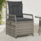 Gartensessel 2 STK. Verstellbar Grau Poly Rattan,jiangboyue-368663
