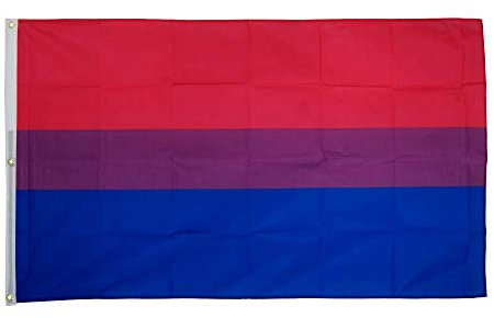Flaggenfritze Fahne/Flagge Bi Pride - 150 x 250 cm + gratis Sticker, XXL-Fahne