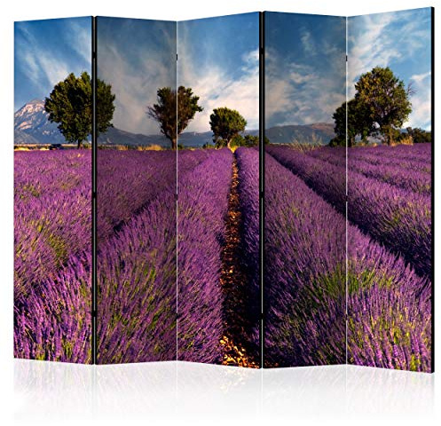 decomonkey Paravent Raumteiler Innen Landschaft, 225x172 cm, 5-teilig | Beidseitig, Lavendel, Wohnzimmer, Room Divider, Wall, Raumteiler Stehend, Trennwand, Sichtschutz, Spanische Wand, Holz