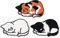 Patches zum Aufbügeln Kat 3 Stück Buegelbilder Bestickte Patches Sticker Gestickte Aufnäher Applikation für DIY Kleidung Jeans T-Shirt Jacken Rucksäcke