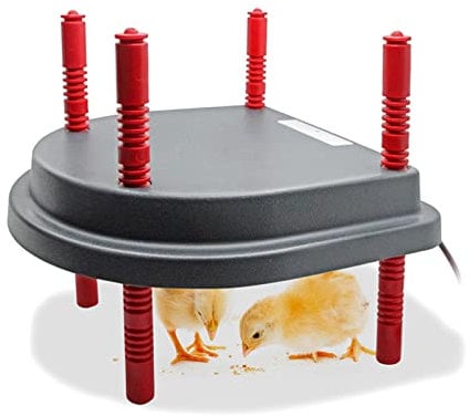 Taixinpower Kit de placa de calor para criar pollitos, lámpara de calor de repuesto para Chiken Coop, altura de ajuste para 15-20 pollos/patos calentador (sin cubierta)