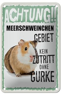 Femer Blechschild Spruch 12x18cm Tiere Achtung Meerschweinchen Dekoration