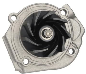 Hepu P1201 Wasserpumpe