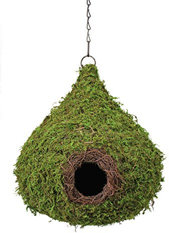 SuperMoss (56010) Raindrop Birdhouse with Chain, 10 by 13-Inch, Fresh Green