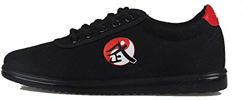MENG Unisexe Chaussons Chaussures De Toile Chinois De Tai Chi Chuan Et Kung Fu Taekwondo (Color : Black, Size : 43)