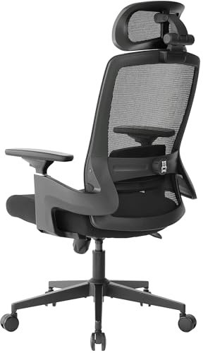Realm of Thrones VALOUR Ergonomic Office Chair for Home, Gaming Desk Chair, 3D Headrest/High Back Mesh/Comfort Cushion Seat/3D Rotating Armrests/Adjustable Lumbar Support/Heavy Duty Steel Base (Black)