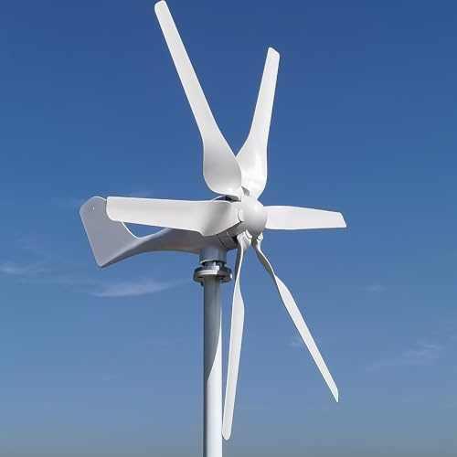 Aerogenerador 800W con regulador de carga MPPT, trifásico AC aerogenerador horizontal, molino de viento de 6 palas para el hogar y la granja 12V 24V 48V (48, Voltios)