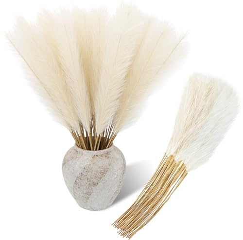 Ghligna 50 Stück Getrocknete Pampasgras Deko, 55cm Pampasgras Künstlich Beige, Flauschig Pampas Gras, Boho Deko Pampas Gras für Hochzeit, Büro, Schlafzimmer, Wohnzimme