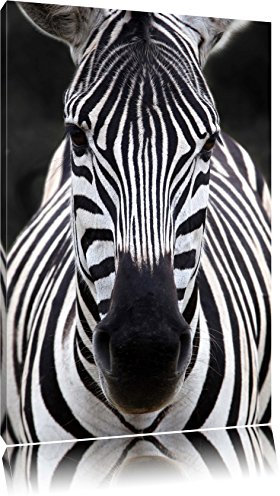 Pixxprint Zebra Porträt, Größe: 120x80cm, Leinwandbild, fertig gespannt, Wandbild, Dekoration, Kunstdruck, kein Poster
