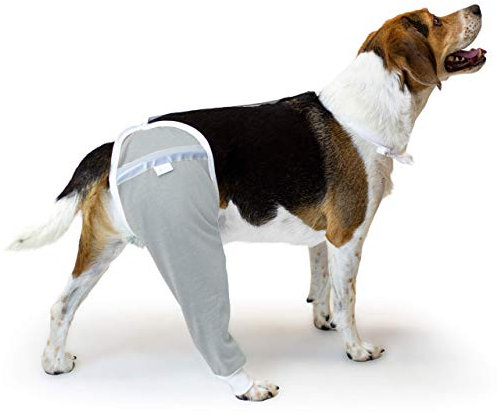 After Surgery Wear Hüft- und Oberschenkel-Wundschutzmanschette für Hunde | Hunde-Wundhülse | Von Tierärzten weltweit empfohlen (Medium, Grau)