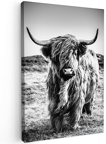 MuchoWow© Wandbilder 40x60 cm Wohnzimmer Wanddeko Schlafzimmer Zimmerdeko Fotowand Zimmer Deko Wand Dekoration Wall Art Schottisches Hochlandrind - Highland Cow - Kuh Bild - Schwarz und Weiß