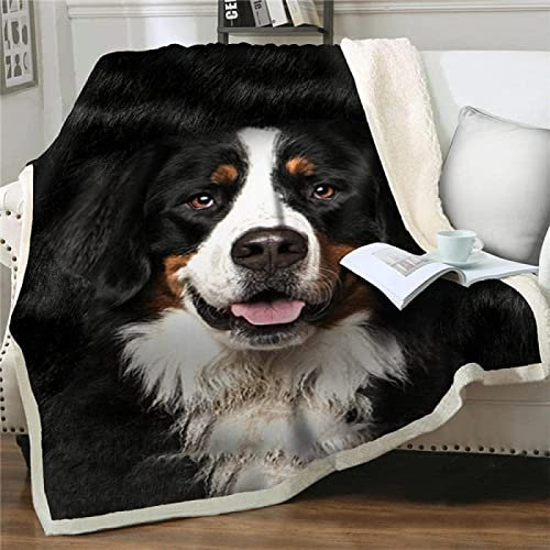 JHAHZJ Kuscheldecken Flauschig 150x200 Schweizer Berner Sennenhund Flanell Fleecedecke Weiche Warme Decke für Sofa Bett, als Wohndecke Bettdecke Couchdecke