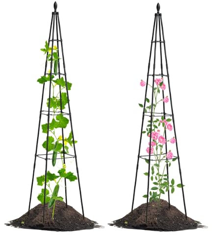 Lalahoni Lot de 2 Treillis de Jardin pour Plantes grimpantes d'extérieur et d'intérieur | 170,2 cm de Haut | Treillis obélisque de Jardin, léger, Noir