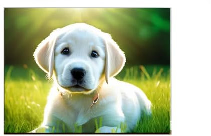 Kalvos Fotoleinwand mit Holzrahmen, Wandbild mit Eigenem Bild, Personalisiert Geschenk, Leinwand mit Persönlichem Foto, Fotogeschenke, Wanddekoration, Poster, Kunstdrucke, Bildseiten 30x40 cm