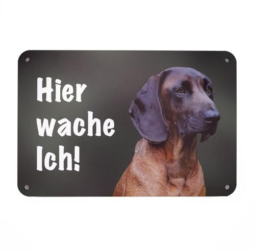Bayerischer Gebirgsschweißhund BGS HIER WACHE ICH! Hundeschild – Zaunschild mit Hundemotiv für Gartenzaun, Gartentor und Grundstück – wetterfestes Aluverbund Schild 24 × 16 cm