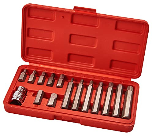 Amtech 15pc Hex Bit & Socket Set, Chrome Vanadium Steel with Long & Short Bits, 13 mm Drive Socket & Plastic Case for Automotive, Furniture & DIY Work