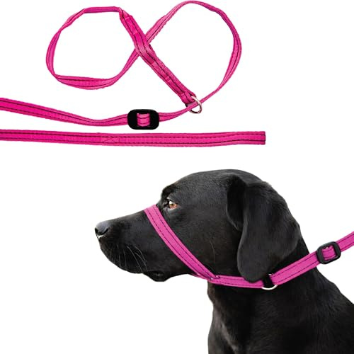 Gencon - All-in-One Anti Pull Dog Lead and Headcollar - Trainer Approved - Figure of 8 Dog Lead with Soft Loop Handle, Gentle Control - Right Hand - Washable - UK Made - Pink/Burgundy