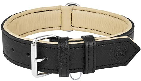 Riparo Echtes Leder Verstellbares Hundehalsband mit Zusätzlicher Verstärkung (M: 2,5CM Breit für 34,3CM - 44,5CM Hals, Schwarz)