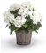 artplants.de Ortensia Finta JONE in Cestino, Bianco, 45cm - Fiore di plastica - Ortensia Artificiale