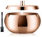 Geoyien Aschenbecher mit Deckel, aschenbecher für draussen, Aschenbecher Mit Reinigungsbürste, winddicht, geruchsdicht, waschbar, Edelstahl aschenbecher für Wohnzimmer Gärten Büros Balkone (Roségold)