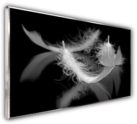 Steinfeld XXL Glasbild mit Rahmen/Glas Deko Bild (Silber/alu) (75 x 120 cm, 018 Federn)