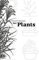 A Planner and Notebook for Plants: A gardening organizer and notebook for vegetables and flower beds to track plant planning times, design, fertilizing, etc.