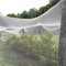 PE Filet Anti Grele Cerisier, Réutilisable Potager pour Protéger Balcons Jardins Clôtures Vergers(Blanc)(5x5m)