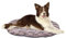 FERPLAST Hundebett Groß - Hundebett Waschbar - Hundekissen - Matte für Hundehütten, Zwinger und Auto - Hundebett Flauschig - Relax - Hundebett 85 x 55 CM, L, BRAUN
