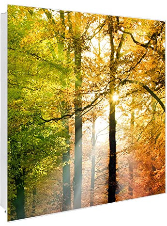banjado® Großer Schlüsselkasten Glas/Schlüsselbox 30cm x 30cm mit 50 Haken - Motiv Herbstwald/Schlüsselkasten modern für Schlüsselaufbewahrung mit beschreibbarer, magnetischer Glastür