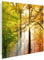 banjado® Großer Schlüsselkasten Glas/Schlüsselbox 30cm x 30cm mit 50 Haken - Motiv Herbstwald/Schlüsselkasten modern für Schlüsselaufbewahrung mit beschreibbarer, magnetischer Glastür