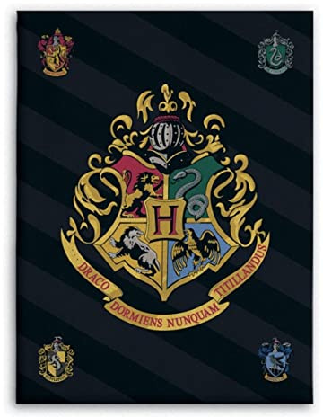 Gamesland Harry Potter Fleecedecke, 100 x 140 cm