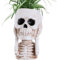 Totenkopf-Blumentopf, Totenkopf-Töpfe für Pflanzen - Totenkopf Übertopf Blumentopf - Gotischer Skelett-Übertopf, Harz-Übertopf, kleine Totenkopf-Vase, Halloween-Übertopf, Heimdekoration