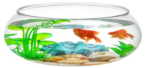 Bol à poisson rond transparent de 2 litres, vase peu profond en plastique à bulles pour plantes aquatiques, plantes succulentes, aquarium pour décoration de maison et de bureau