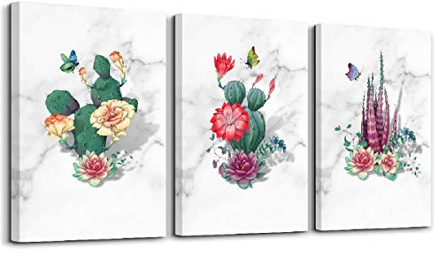 Visario Leinwandbild Kakteen 120x80 cm 4407 Wandbild Kaktus Wüste Natur Pflanze auf Leinwand mit echtem Holzrahmen fertig aufgespannt Kunstdruck Bild Dekoration Wohnzimmer Schlafzimmer Büro 4407