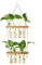 HYINDOOR Wandbehang Pflanzgefäß Terrarium 2 müde Reagenzglas Vase Glas Pflanzgefäß Pflanze Anzuchtstation Pflanzenaufhänger aus Seil mit Holzständer und 8 Röhren für Hydrokultur Pflanzenschneiden